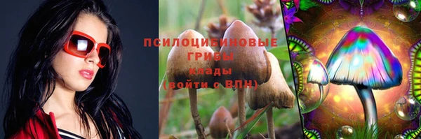 хмурый Богородск