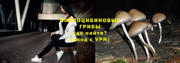 хмурый Богородск