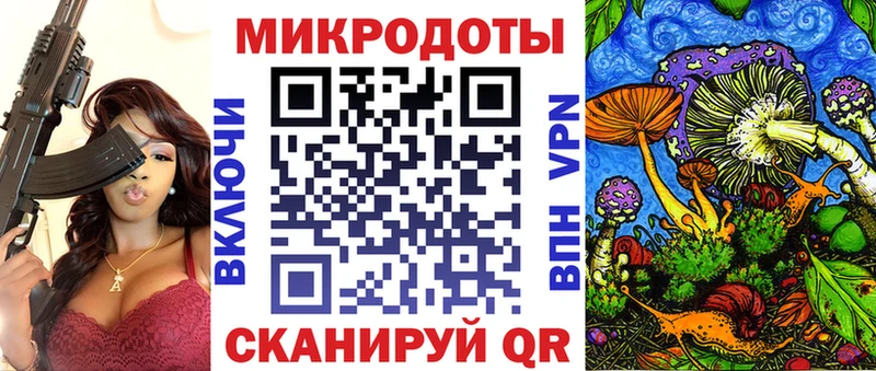 Галлюциногенные грибы Psilocybe Межгорье